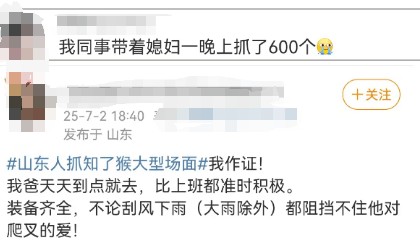 有人一天能捉12-15斤净赚2000元！近期大量出现，不少人夜晚出动