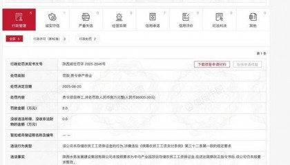 陕西水务建设集团因违反农民工工资支付规定被罚16万并责令停工