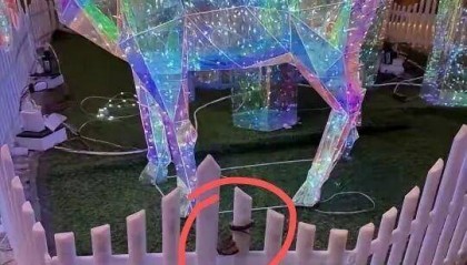 九寨沟一酒店大堂出现蝮蛇，小孩还摸了蛇头！当地通报：孩子没被咬伤，已全面排查