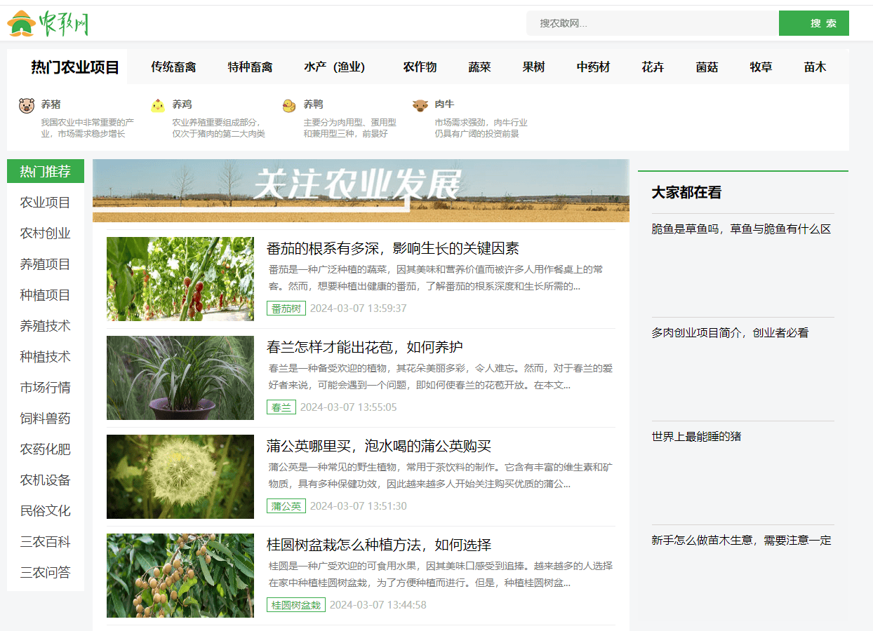 种植果蔗管理，农敢网管理工作有哪些