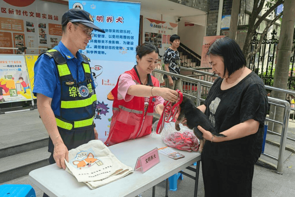 杭州西湖区古荡街道：文明养犬不掉“链”，守护萌宠和谐生活