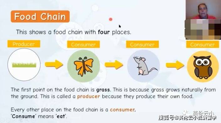 有点意思，英国小学科学课，了解食物链和猎食关系。