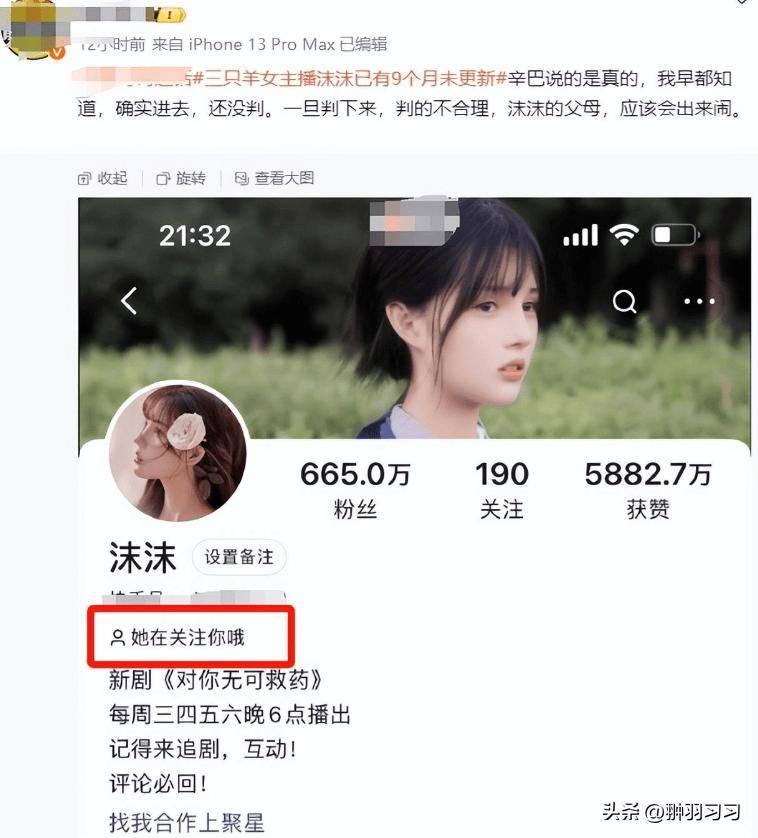 硬刚！辛巴拿1亿人民币逼小杨哥主动赔钱，小杨哥掉粉70万输麻了