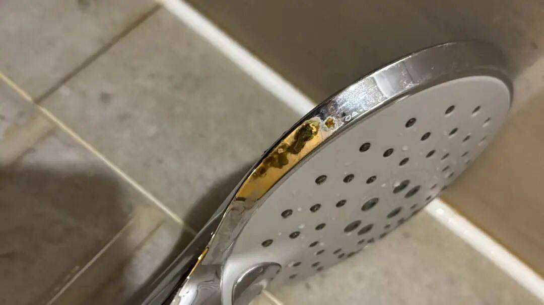 女子入住知名连锁酒店,洗完澡发现花洒上有粪便?酒店方回应